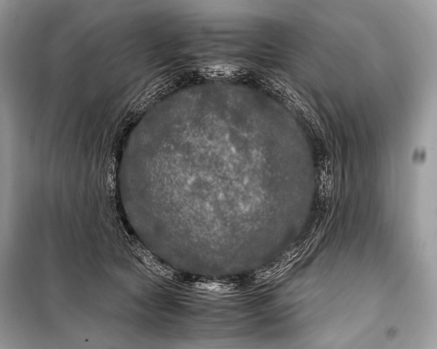 X0000099290561200805161327