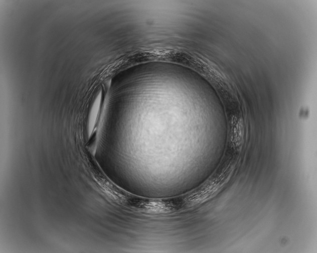 X0000099290562200805161327