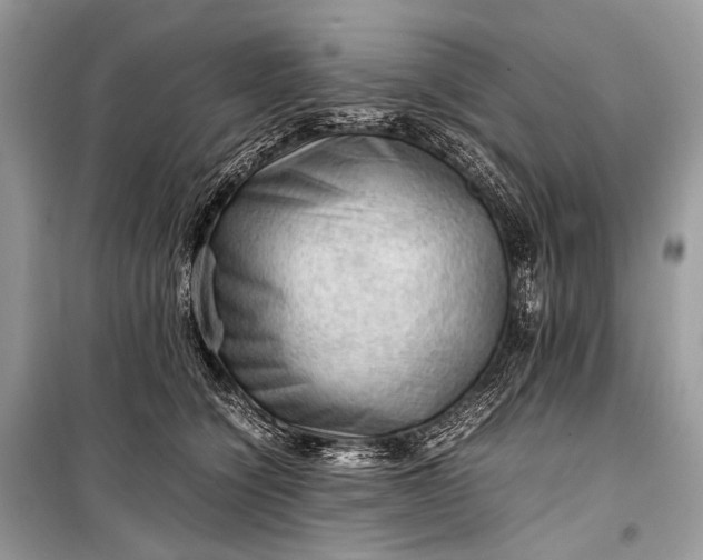 X0000099290564200805161327