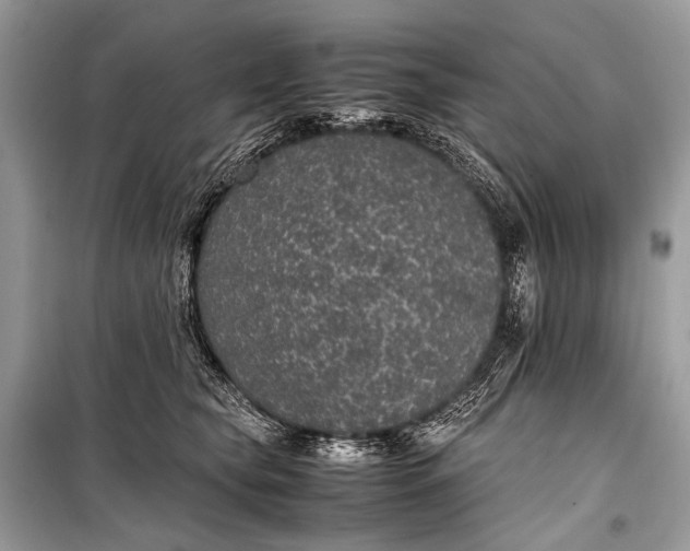 X0000099290565200805161327