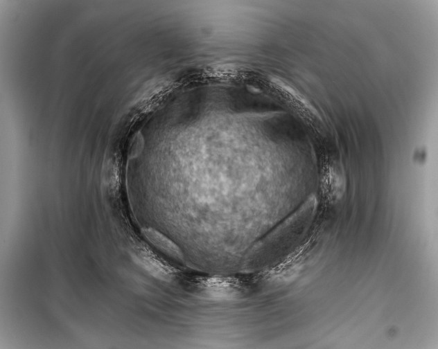 X0000099290566200805161327