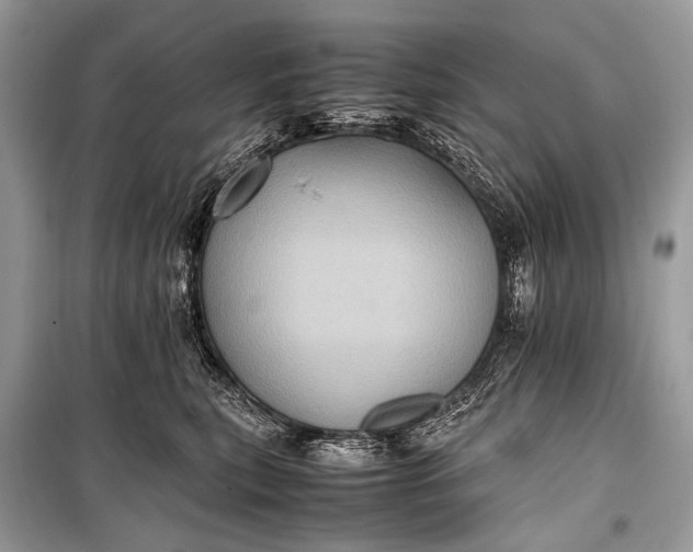 X0000099290567200805161327