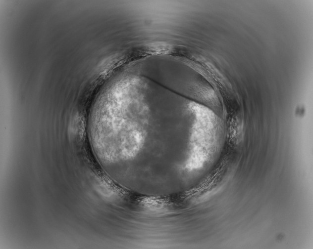 X0000099290568200805161327