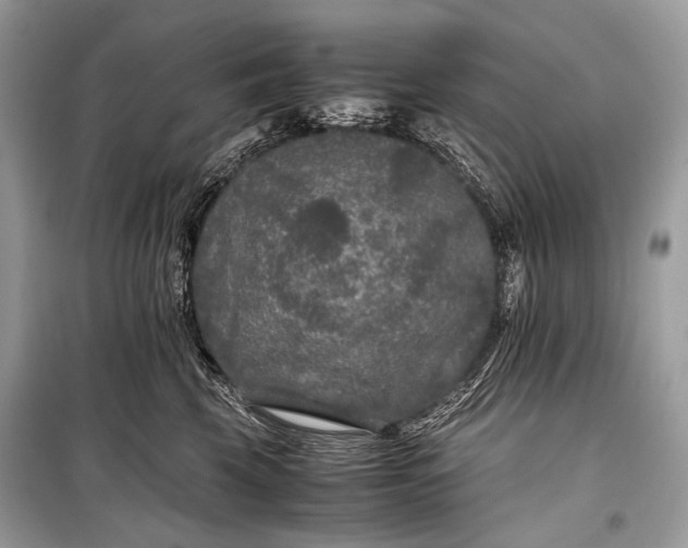 X0000099290569200805161327