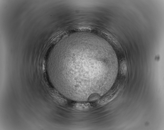 X0000099290571200805161327