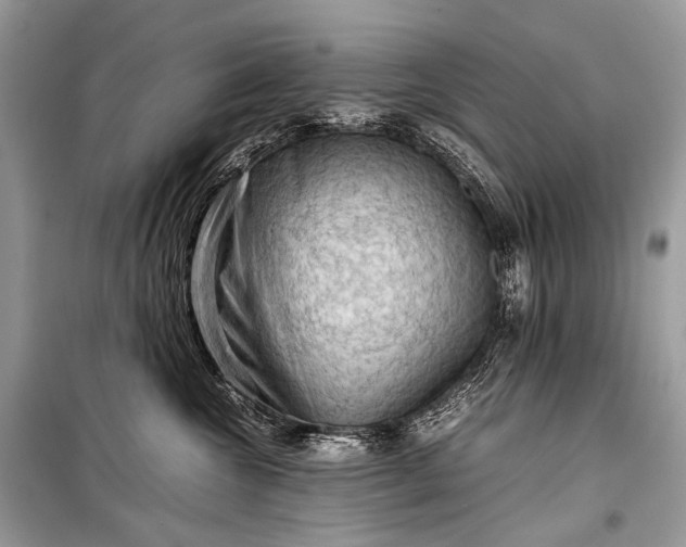 X0000099290572200805161327