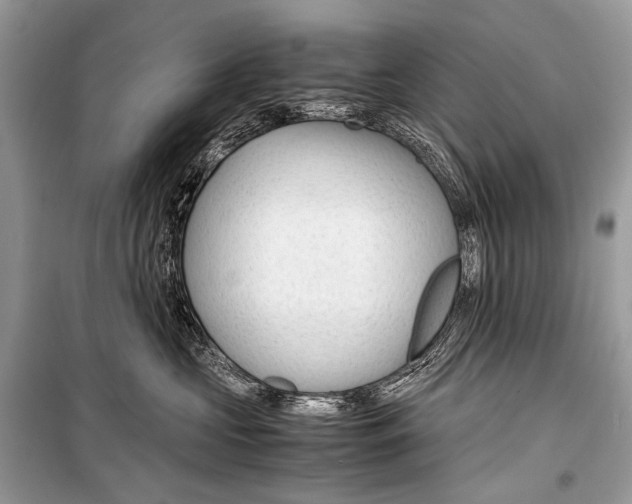 X0000099290573200805161328