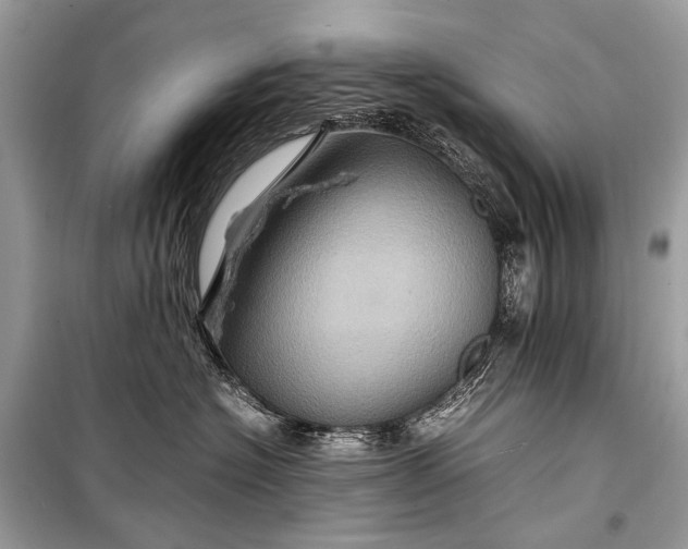 X0000099290574200805161328