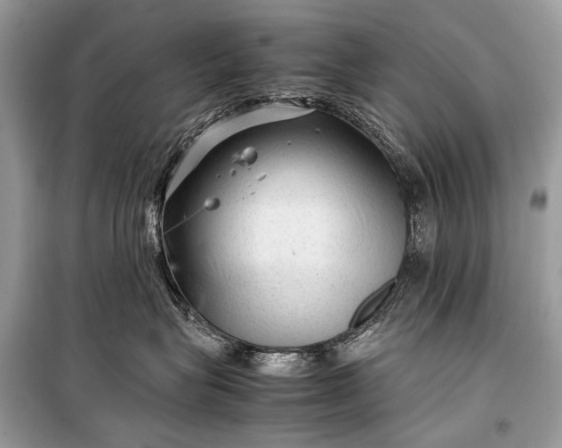 X0000099290575200805161328