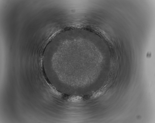 X0000099290576200805161328