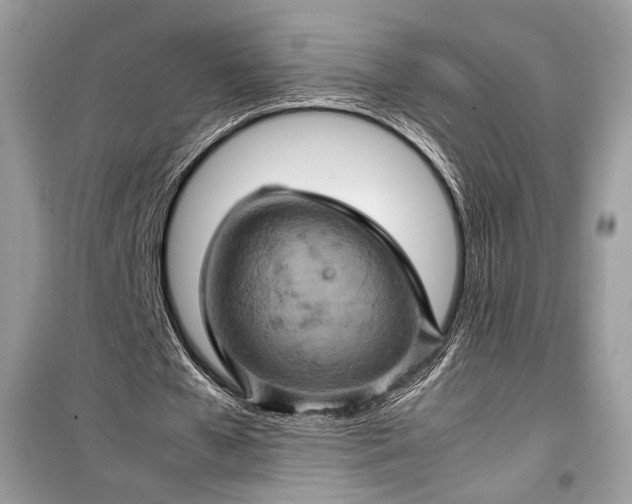 X0000099290577200805161327