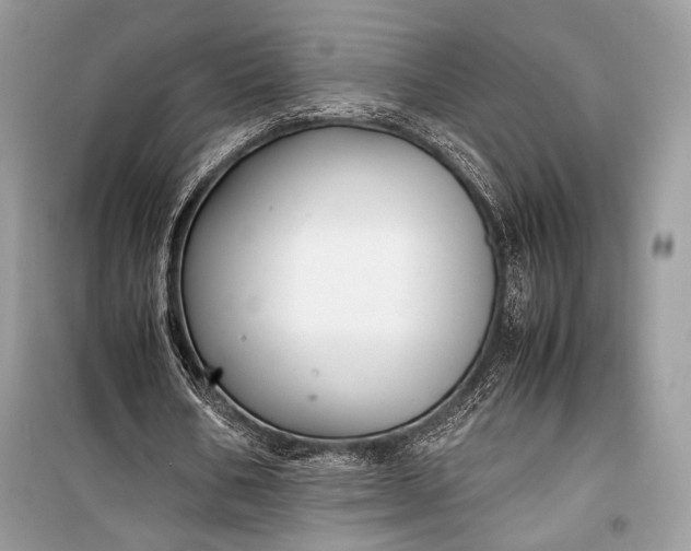 X0000099290578200805161327