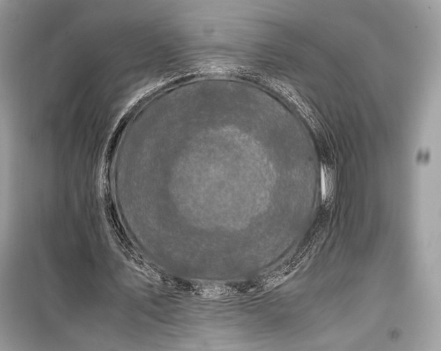 X0000099290579200805161327