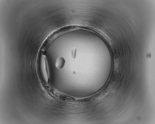 X0000099290580200805161327