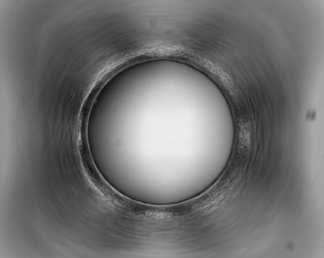 X0000099290582200805161327