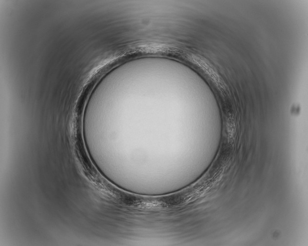 X0000099290583200805161327