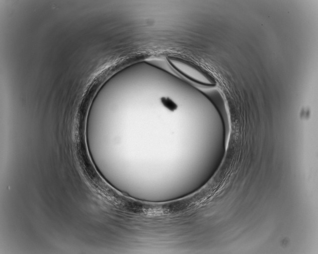 X0000099290587200805161327