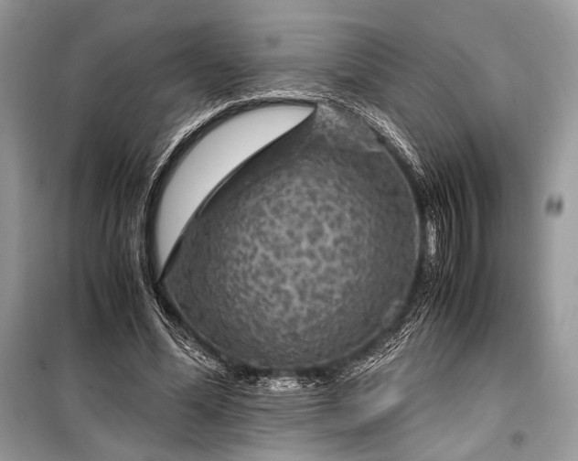 X0000099290588200805161327