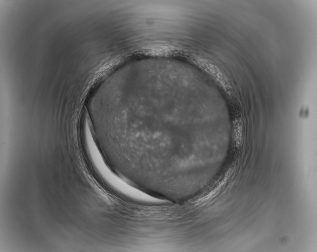 X0000099290589200805161327