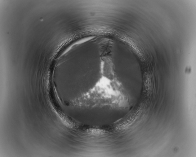 X0000099290590200805161327