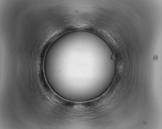 X0000099290591200805161327