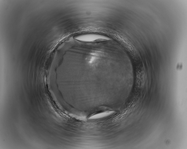 X0000099290592200805161327