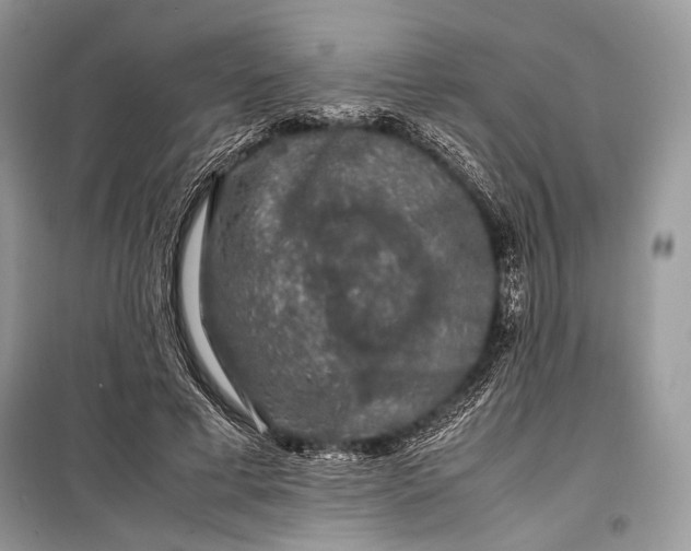 X0000099290593200805161327