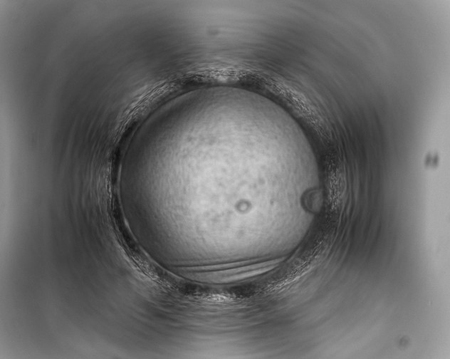 X0000099290594200805161327