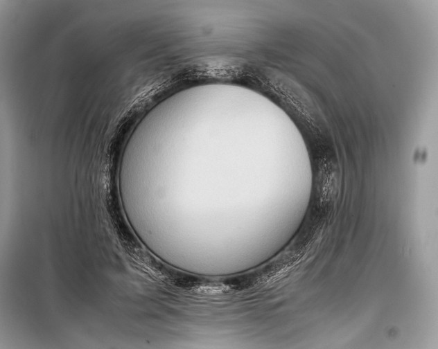 X0000099290595200805161327