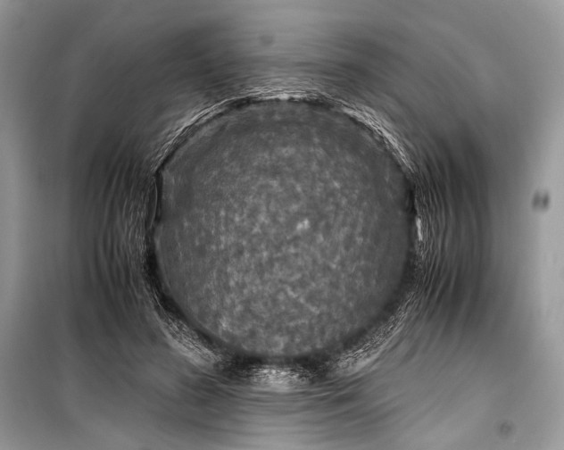 X0000099290596200805161327