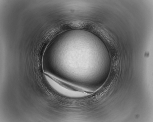 X0000099290597200805161327