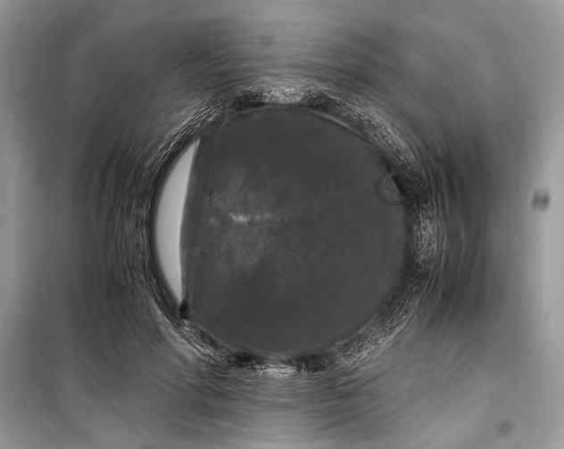 X0000099290598200805161327