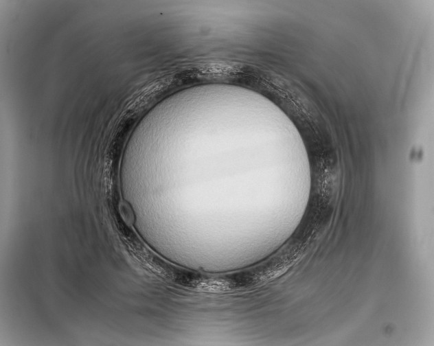 X0000099290599200805161327