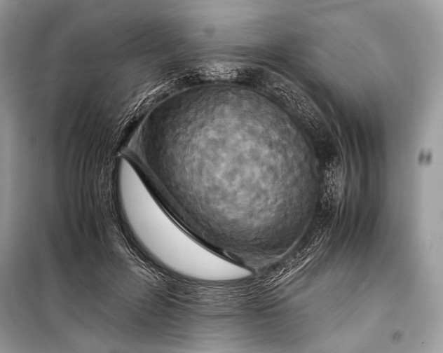 X0000099290600200805161327