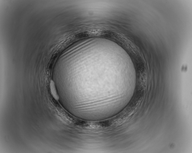 X0000099290601200805161327