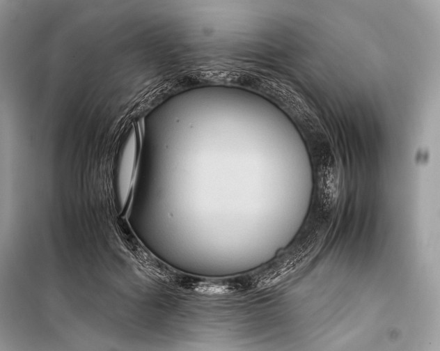 X0000099290602200805161327