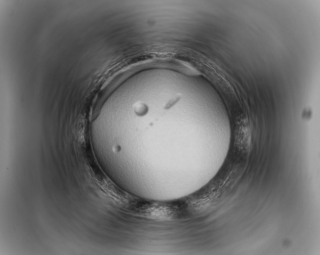 X0000099290604200805161327