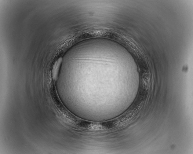 X0000099290605200805161326