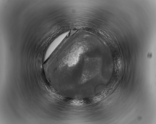 X0000099290606200805161326