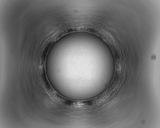 X0000099290607200805161326