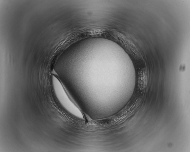 X0000099290608200805161326