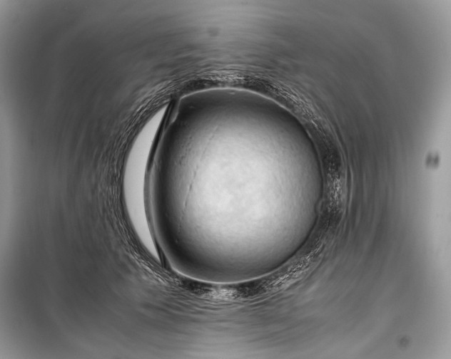 X0000099290609200805161326