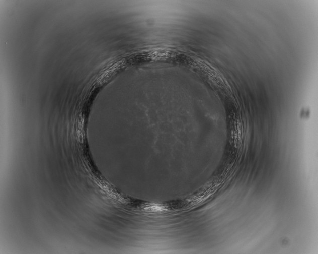 X0000099290610200805161326