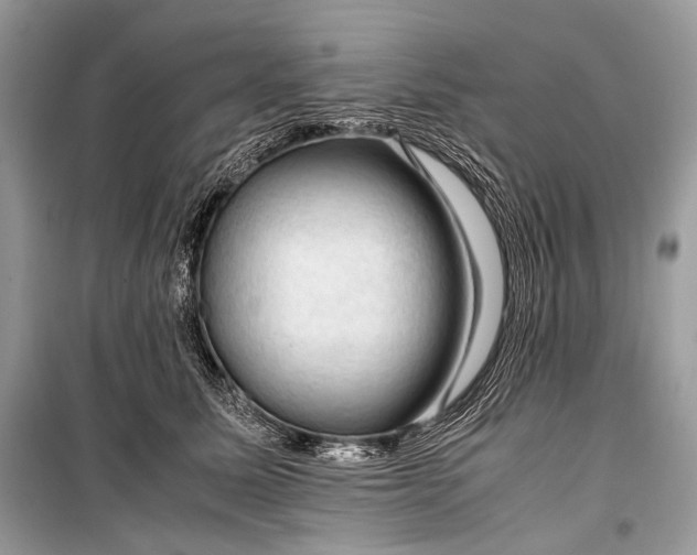 X0000099290611200805161326