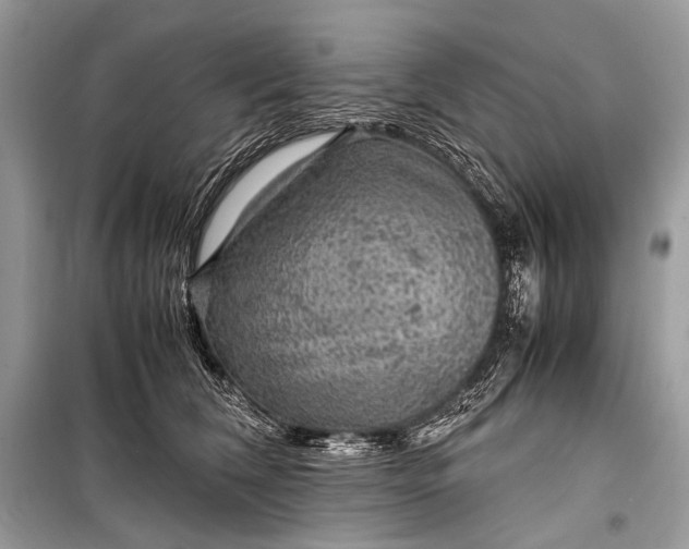 X0000099290612200805161326