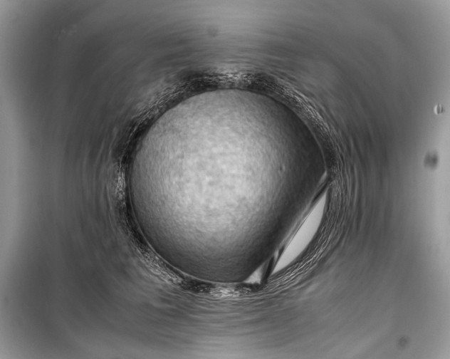 X0000099290613200805161326