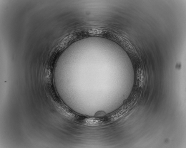 X0000099290614200805161326