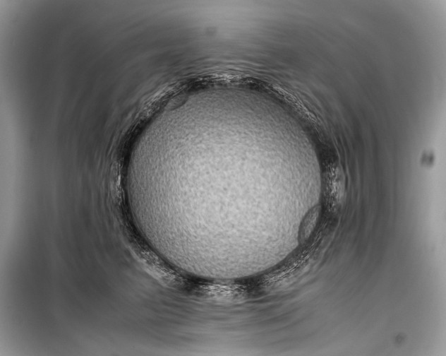 X0000099290615200805161326