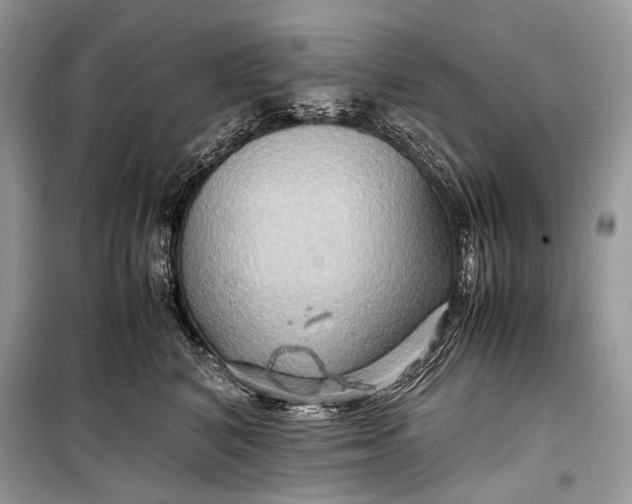 X0000099290616200805161326