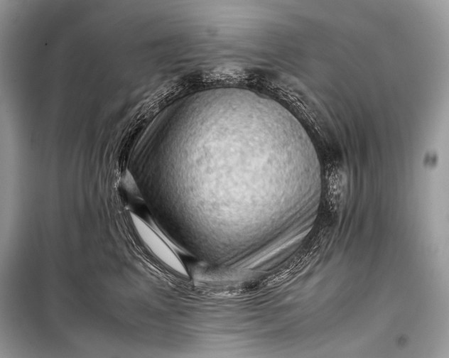 X0000099290617200805161326